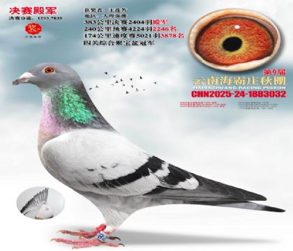 ����ׯ����4��