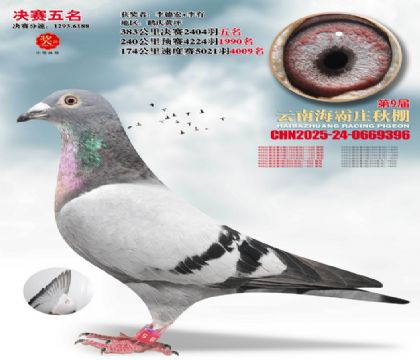 ����ׯ����5��