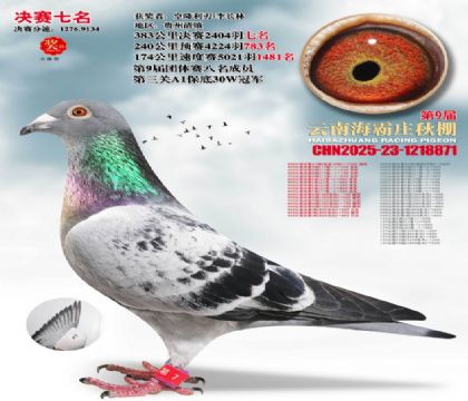 ����ׯ����7��