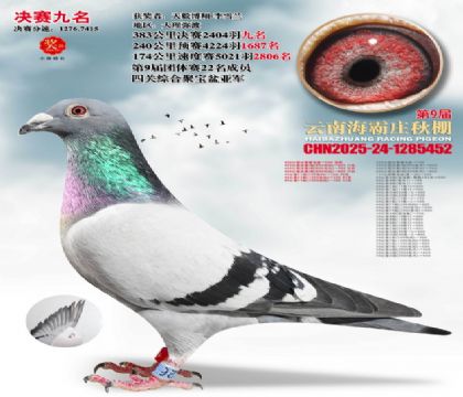 ����ׯ����9��