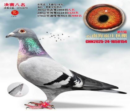 ����ׯ����8��