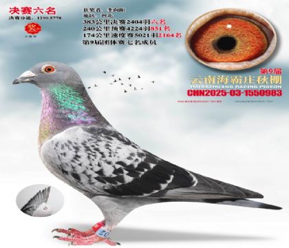 ����ׯ����6��