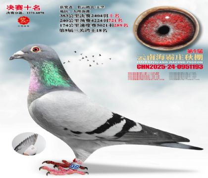 ����ׯ����10��