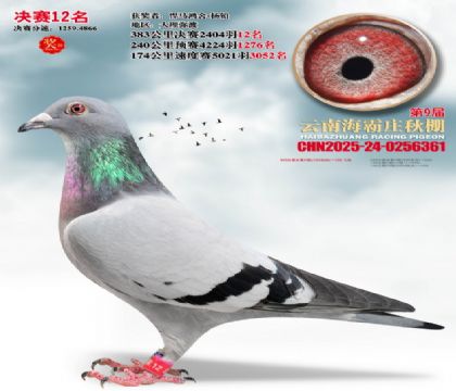 ����ׯ����12��