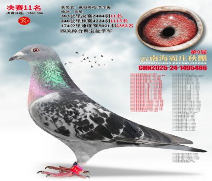 ����ׯ����11��