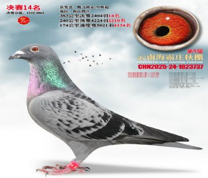 ����ׯ����14��