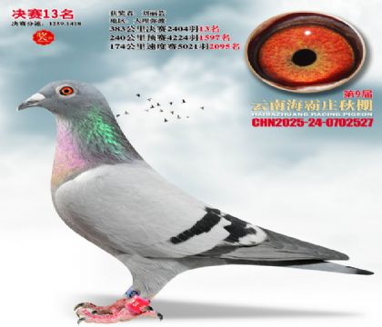 ����ׯ����13��