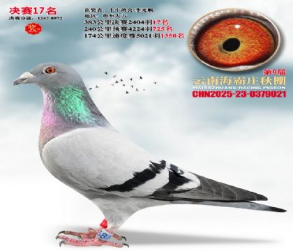 ����ׯ����17��