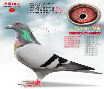 ����ׯ����18��