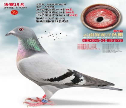 ����ׯ����19��