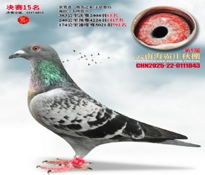 ����ׯ����15��