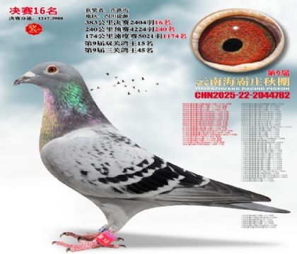 ����ׯ����16��