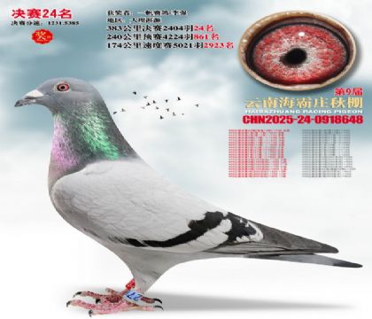 ����ׯ����24��