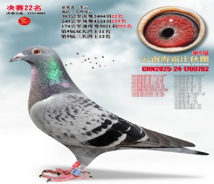 ����ׯ����22��