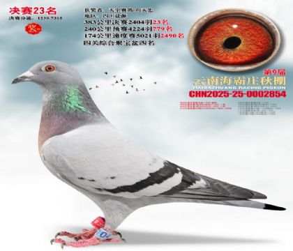 ����ׯ����23��