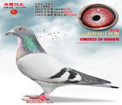 ����ׯ����20��