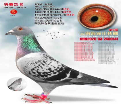 ����ׯ����25��