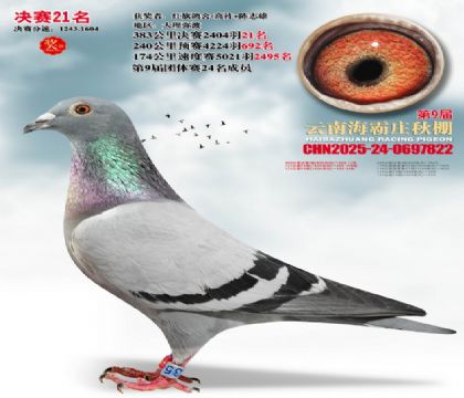 ����ׯ����21��