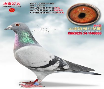 ����ׯ����27��