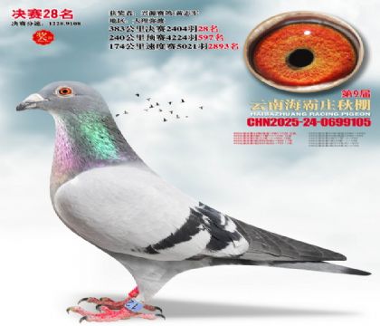 ����ׯ����28��