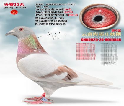 ����ׯ����30��