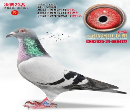 ����ׯ����29��