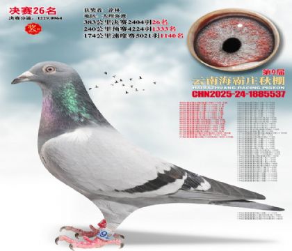 ����ׯ����26��