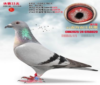 ����ׯ����33��