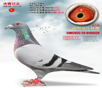 ����ׯ����32��