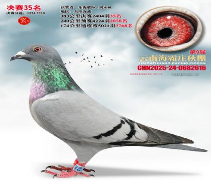 ����ׯ����35��