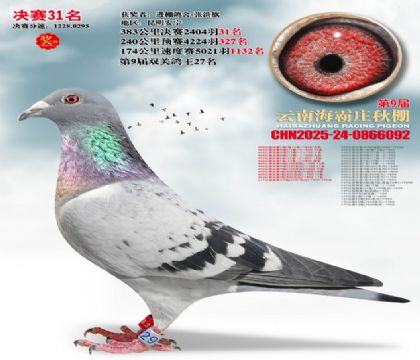 ����ׯ����31��