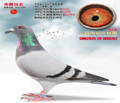 ����ׯ����36��