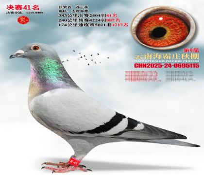 ����ׯ����41��