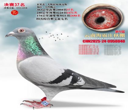 ����ׯ����37��