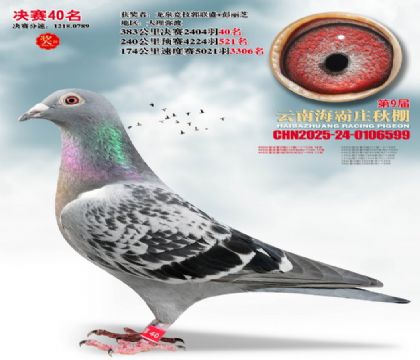 ����ׯ����40��