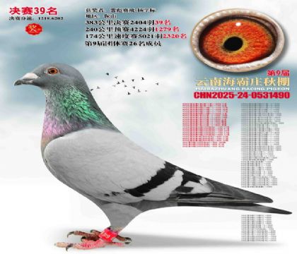 ����ׯ����39��