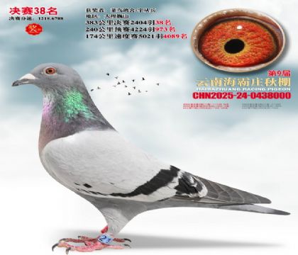 ����ׯ����38��