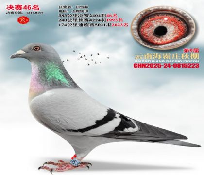 ����ׯ����46��