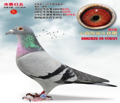 ����ׯ����43��