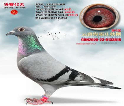 ����ׯ����42��