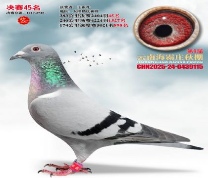 ����ׯ����45��