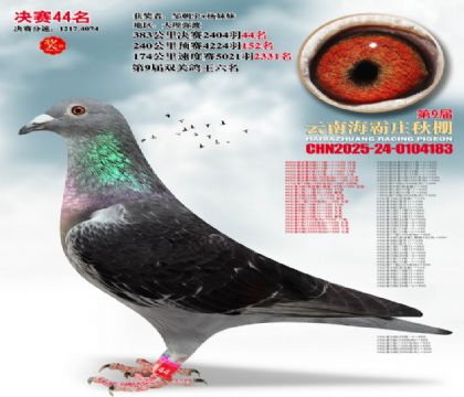 ����ׯ����44��