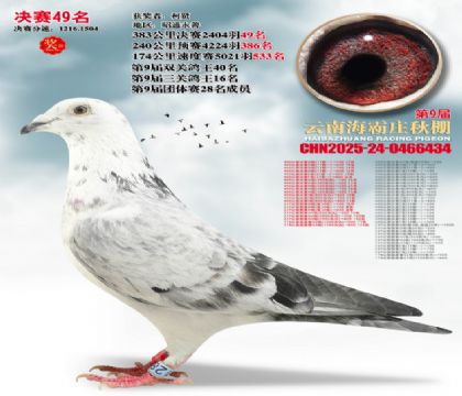 ����ׯ����49��