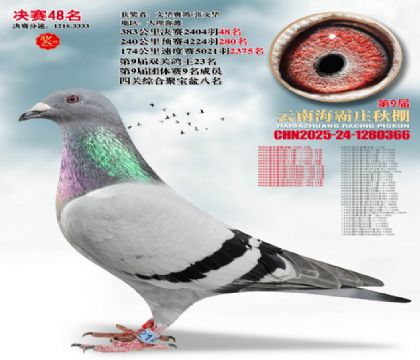 ����ׯ����48��