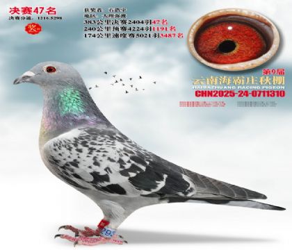 ����ׯ����47��