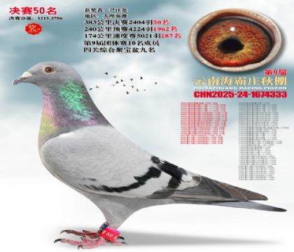 ����ׯ����50��