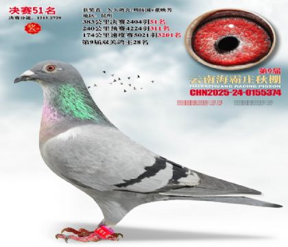 ����ׯ����51��