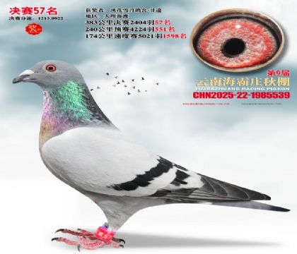 ����ׯ����57��