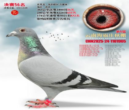 ����ׯ����56��