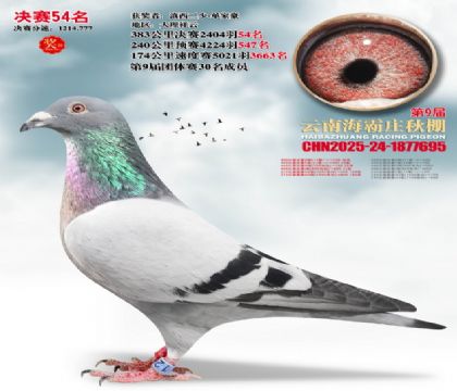 ����ׯ����54��